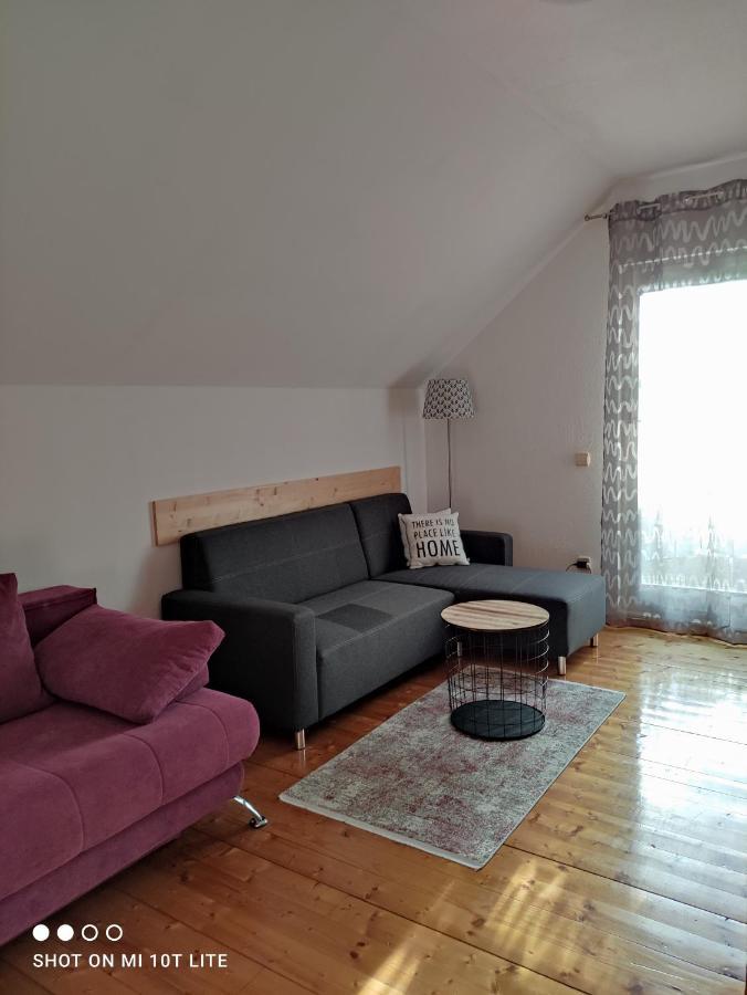 Apartments Irena クランスカゴーラ エクステリア 写真