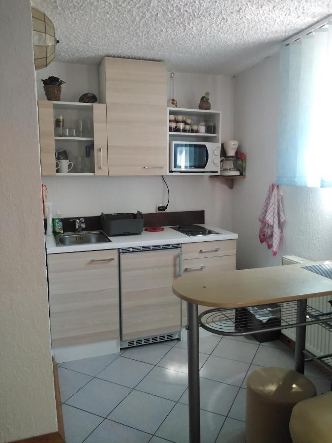 Apartments Irena クランスカゴーラ エクステリア 写真