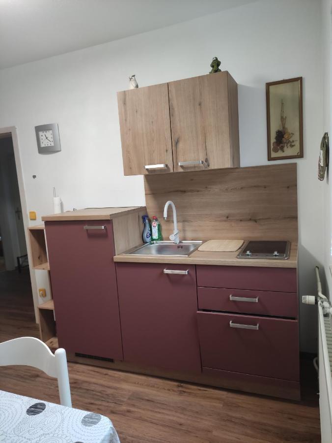 Apartments Irena クランスカゴーラ エクステリア 写真